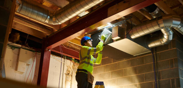 Best Professional Duct Cleaning Services  in Cairo, IL